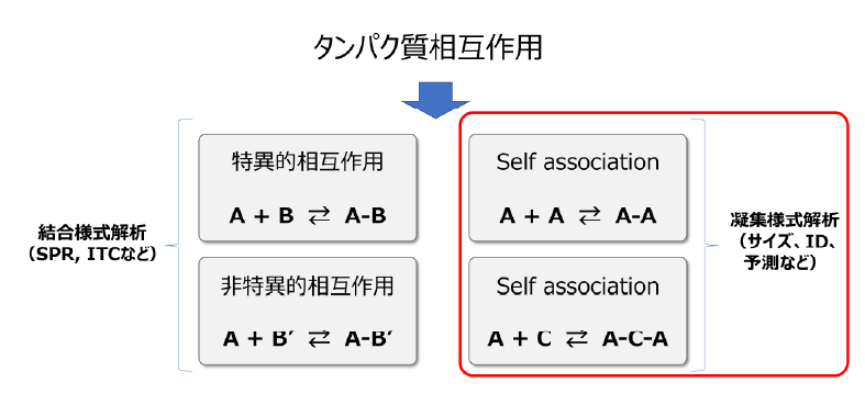2. Self associationからの視点